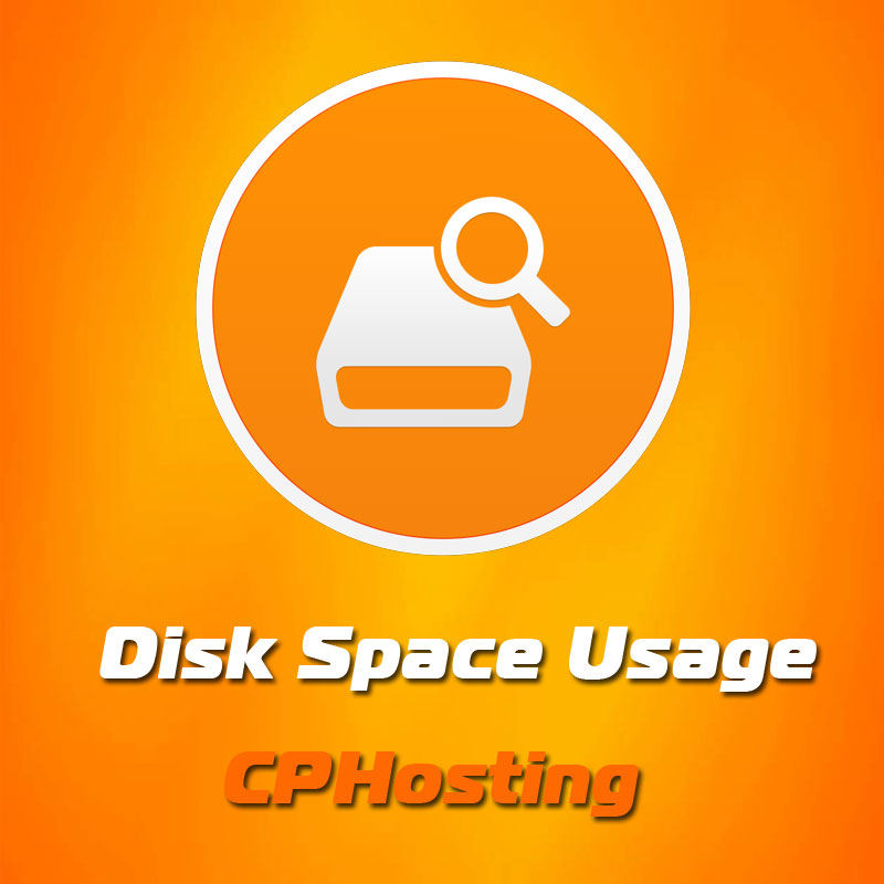 Disk Space Usage